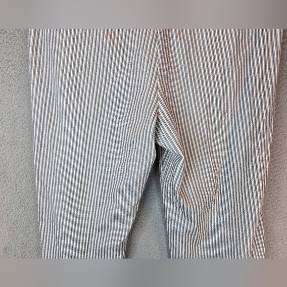 Amanda & Chelsea Womens Pants sz 14 Blue-White Railroad Stripe Modern Fit Ankle - Picture 8 of 10